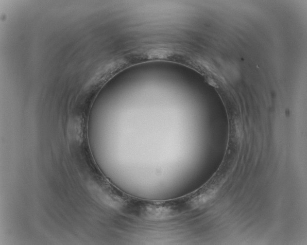 X0000063480311200601231353