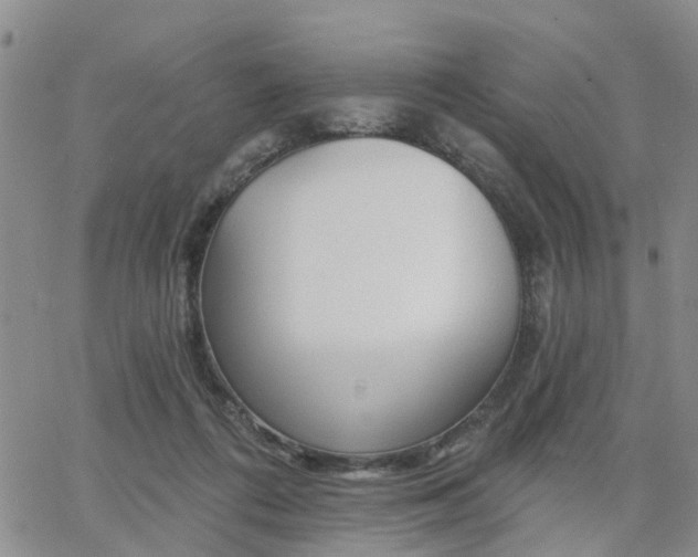 X0000063480312200601231353