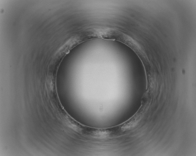 X0000063480313200601231353