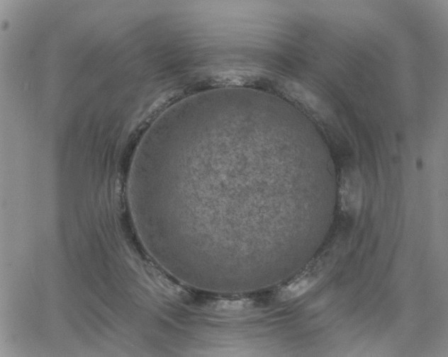 X0000063480314200601231353