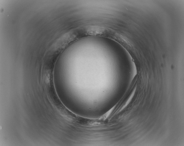 X0000063480315200601231353