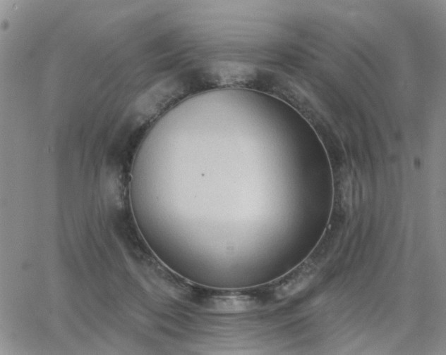 X0000063480316200601231353