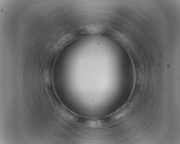 X0000063480317200601231353