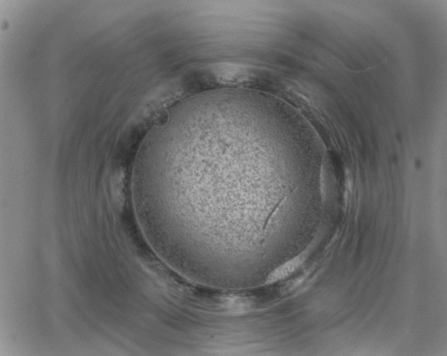 X0000063480319200601231353