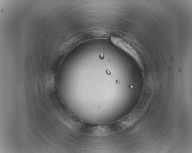 X0000063480320200601231353