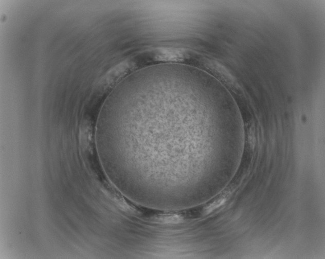 X0000063480322200601231353