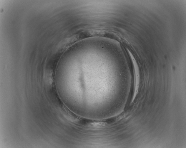 X0000063480323200601231353