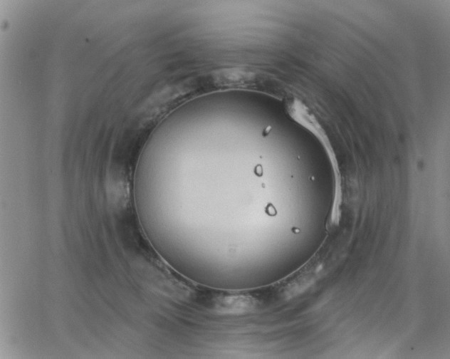 X0000063480324200601231353