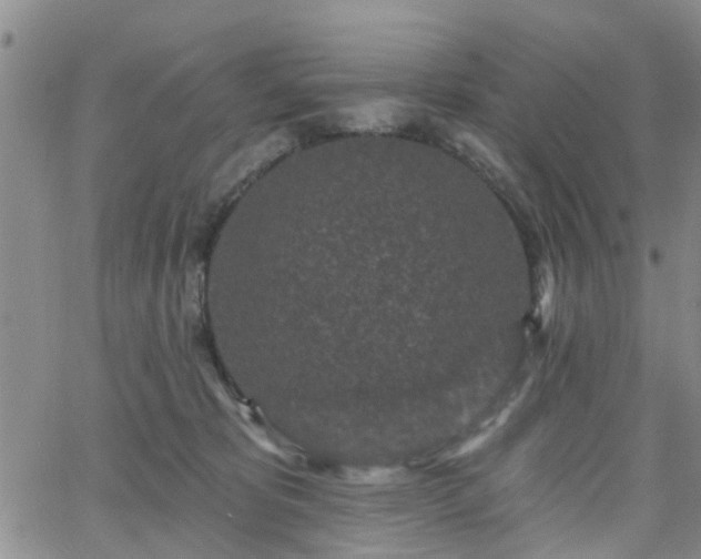 X0000063480325200601231353