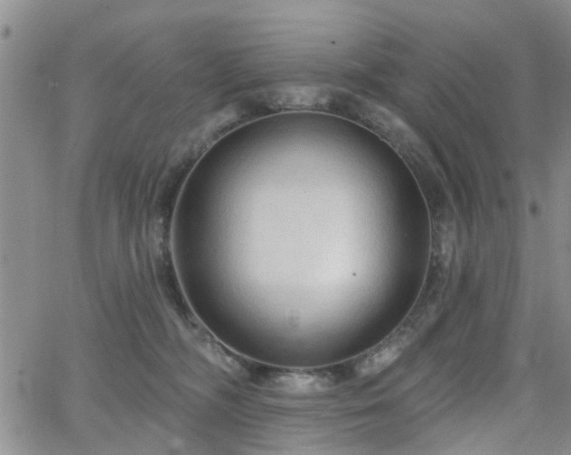 X0000063480326200601231353