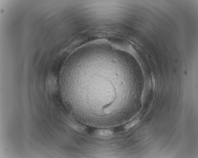 X0000063480327200601231353