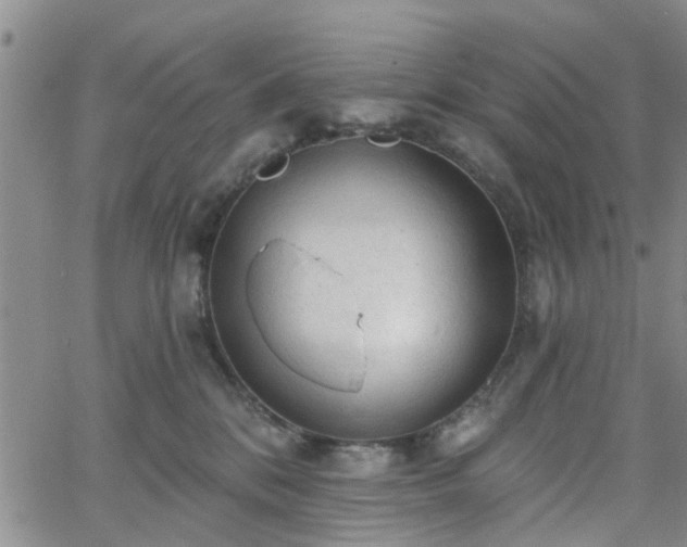 X0000063480328200601231353