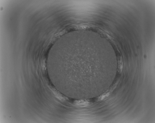 X0000063480331200601231353