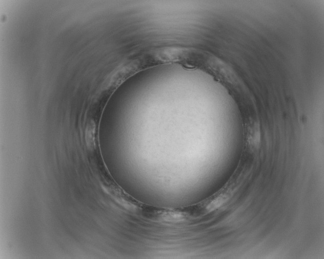 X0000063480332200601231353