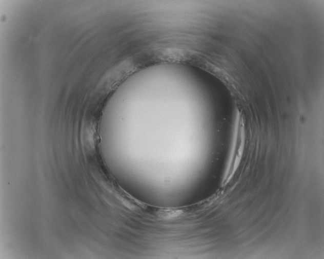 X0000063480334200601231353