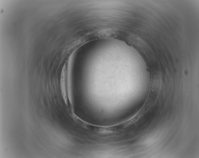 X0000063480335200601231353