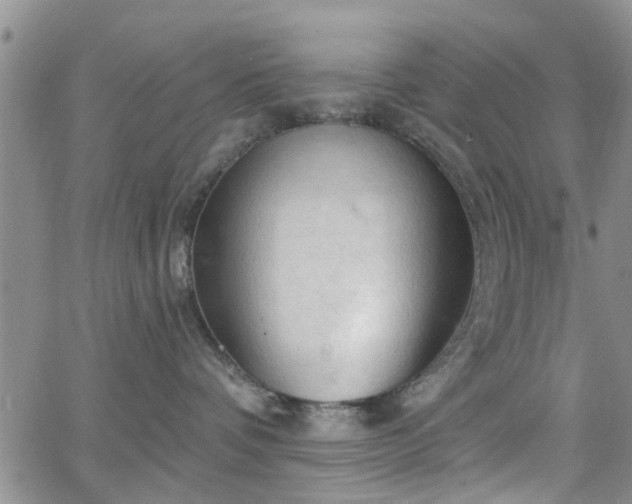 X0000063480336200601231353