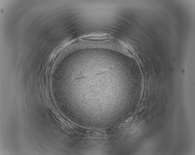 X0000063480337200601231352