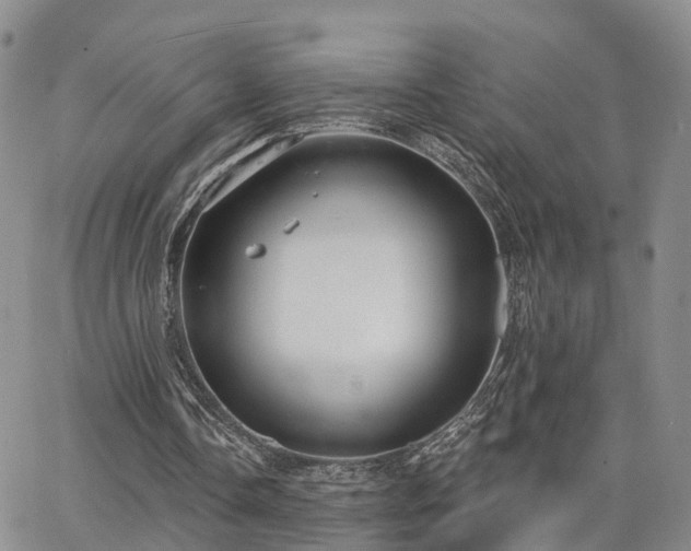 X0000063480338200601231352