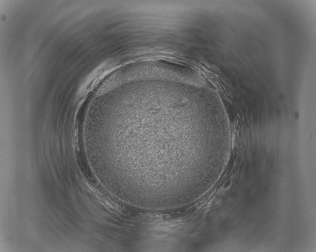 X0000063480339200601231352