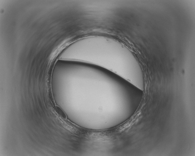 X0000063480341200601231352