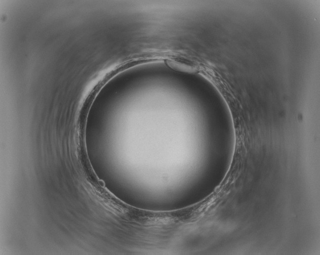 X0000063480342200601231352