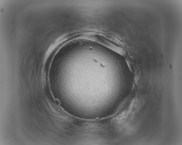 X0000063480343200601231352