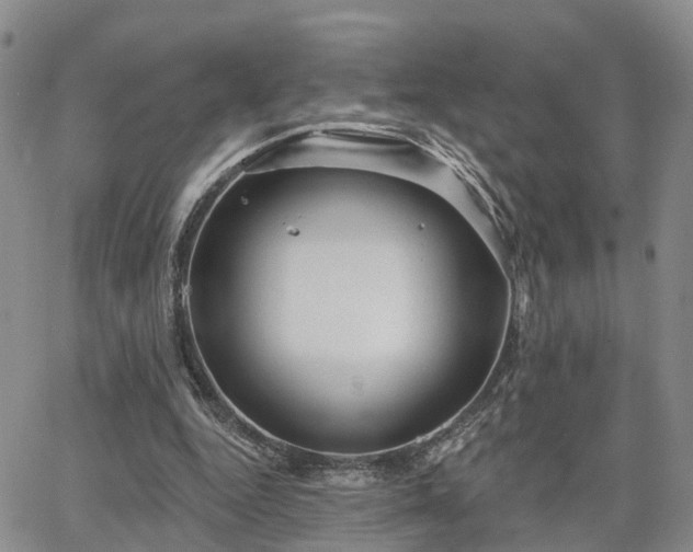 X0000063480344200601231352