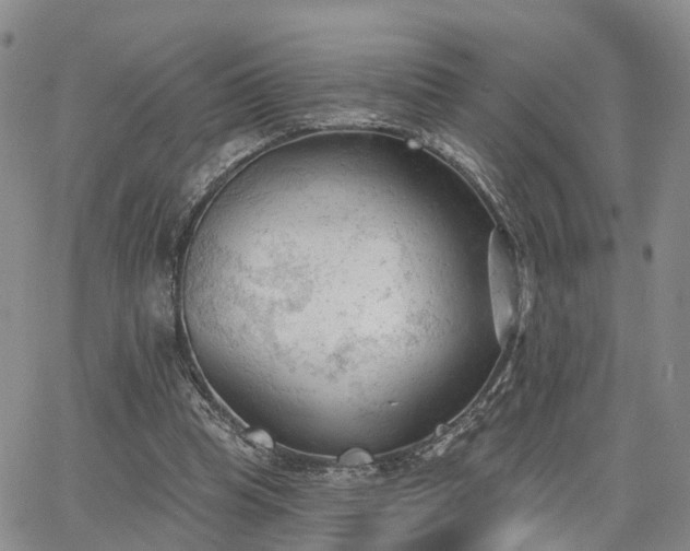 X0000063480345200601231352