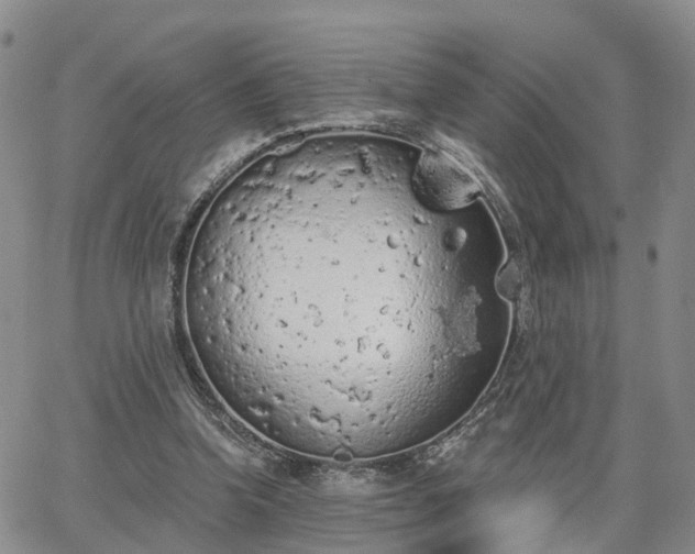 X0000063480346200601231352