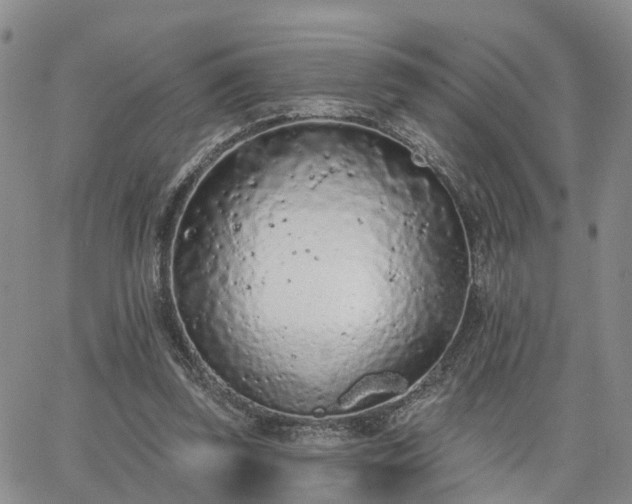 X0000063480347200601231352