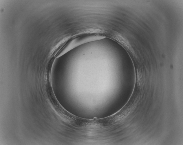 X0000063480348200601231352