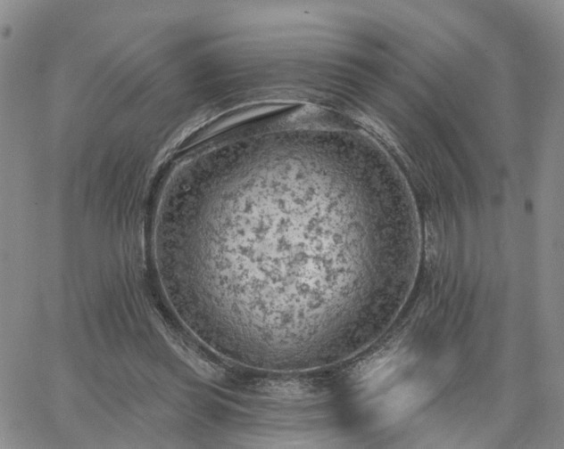 X0000063480349200601231352