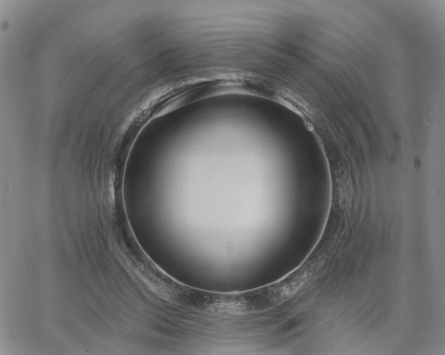 X0000063480350200601231352