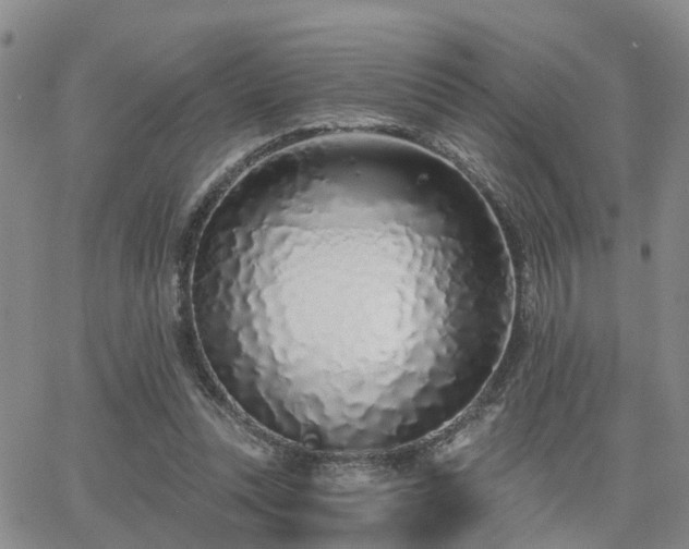 X0000063480351200601231352