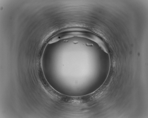 X0000063480352200601231352