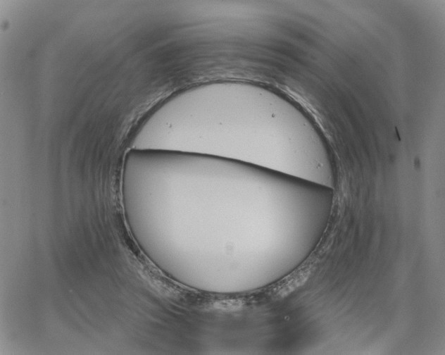 X0000063480353200601231352