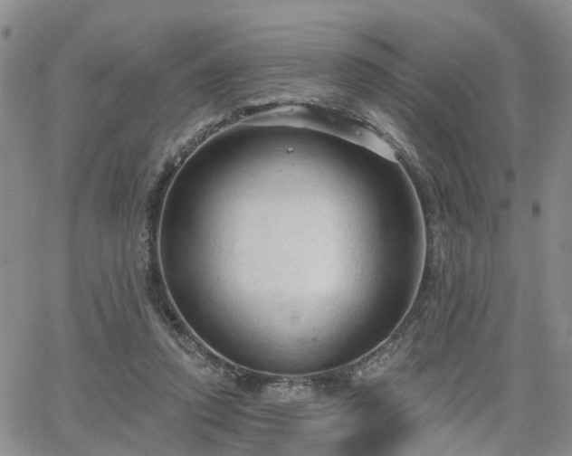 X0000063480354200601231352