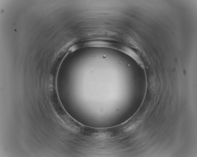 X0000063480356200601231352