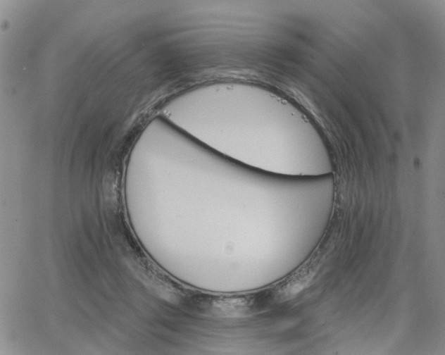 X0000063480357200601231352