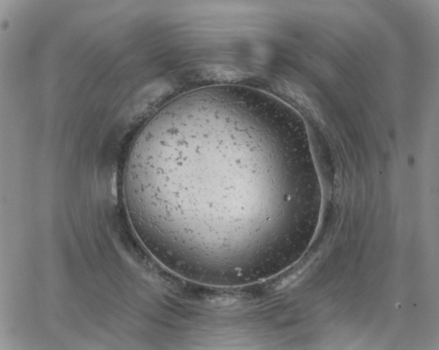 X0000063480358200601231353