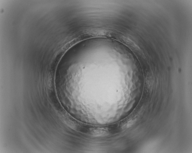 X0000063480359200601231353