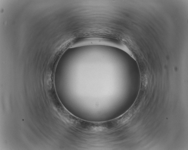 X0000063480360200601231353