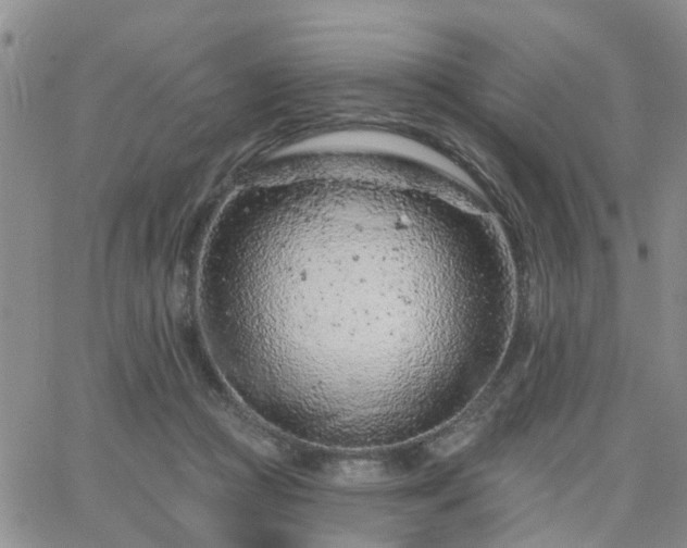 X0000063480361200601231353