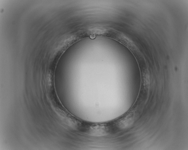 X0000063480362200601231353