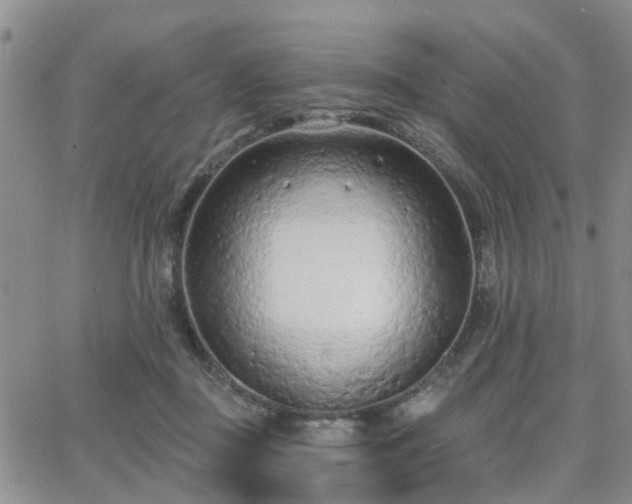 X0000063480363200601231353