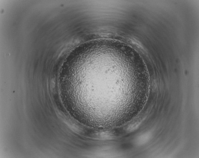 X0000063480365200601231353