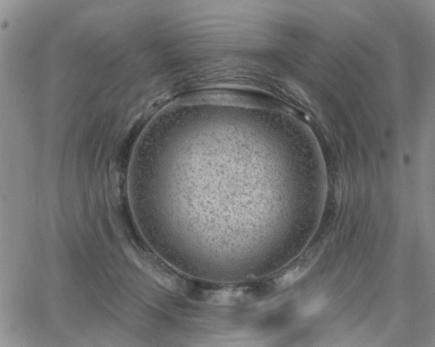 X0000063480366200601231353