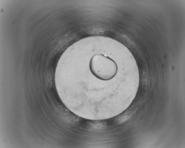 X0000063480370200601231353