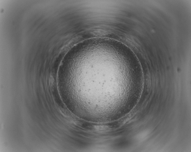 X0000063480371200601231353